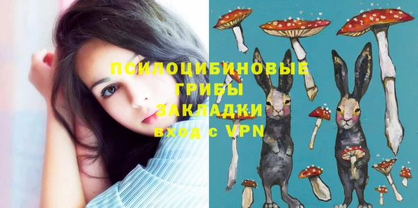 таблы Рославль
