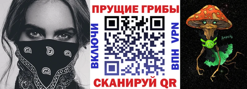 гидра ТОР  Балахна  Псилоцибиновые грибы Psilocybine cubensis 